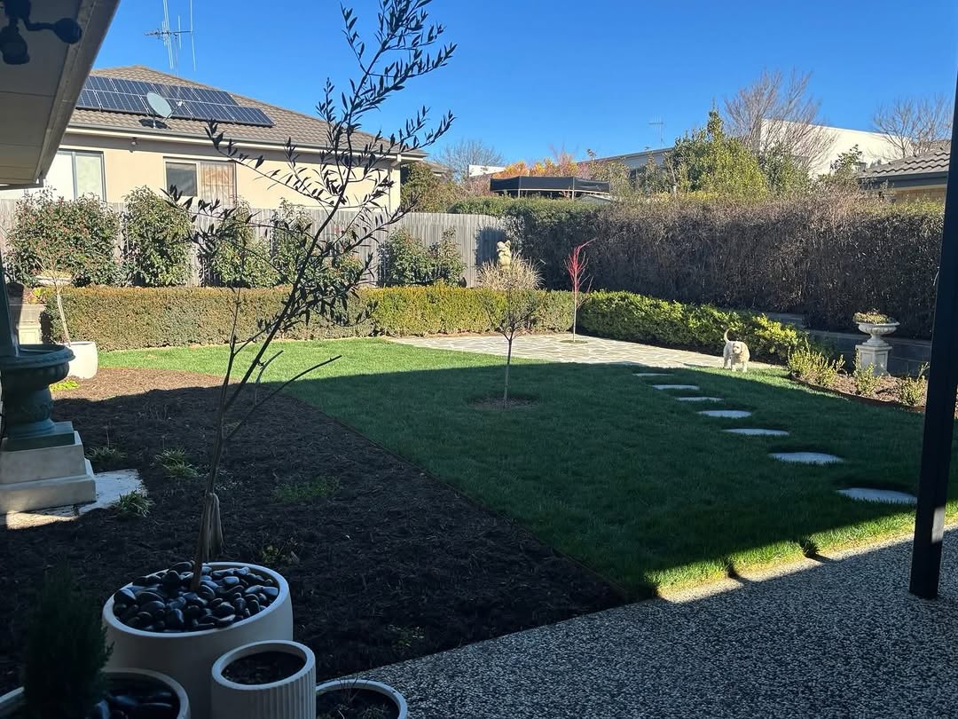 Backyard transformation with new lawn, garden beds and paved path
